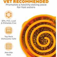 BRSHBE Fun Feeder Slo Bowl, Slow Feeder Dog Bowl, Large/Regular, Turquoise - 橘色 - 查看 3