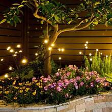TTDHWW 8 Pack Solar Lawn Firefly Lights - Add LED Wind Firefly Ground Plug Garden Decorative Lights - Venue Muslim Festival Festival Decoration Lighting - Trắng ấm - Xem 3