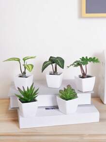 1/3 Stücke 3-5 Zoll (H) Mini Sukkulenten Topfpflanzen für Zuhause, Schlafzimmer, Wohnzimmer, Hochzeit, Geburtstag, Abschluss, Party und Tischdekoration