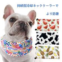 Pet Collars - Rainbow - View 1