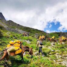 Outdoor Waterproof Bag Pack Bag Large Capacity 120L Roof Bag Tent Hiking Camelbak Fishing Fire Equipment Bag Suitable For Camping Mountaineering Hiking Travel