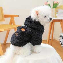 Pet Clothes Dog Apparel Small Dog Puppy Outdoor Stylish Cute Beautiful Durable Breathable Pet Clothes Dog Apparel Small Dog Comfortable Pumpkin Sweatshirt