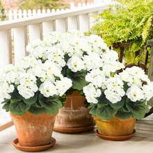 4 株人造天竺葵，逼真的粉色花朵搭配绿色叶子，适合室内外装饰，非常适合花园、门廊、露台、窗台花箱和悬挂花盆、花园装饰、季节性展示、免维护植物、人造户外花卉、家居装饰、万圣节装饰、秋季装饰 - 彩色 - 查看 5