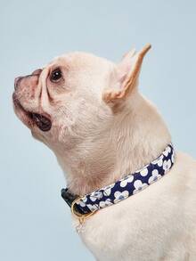 PETSIN 柔软舒适的花卉印花宠物狗项圈，配有花卉吊坠，可调节可洗可爱狗项链