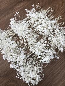 50/100/300 Stücke Natürliche weiße Schleierkraut getrocknete Blumen - Elegantes konserviertes Schleierkraut, geeignet für Zuhause, Büro, Hochzeit, Weihnachten, Halloween Party, Basteleien - Wartungsfrei, geeignet für Personen ab 14 Jahren