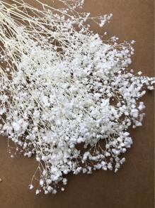 50/100/300 Stücke Natürliche weiße Schleierkraut getrocknete Blumen - Elegantes konserviertes Schleierkraut, geeignet für Zuhause, Büro, Hochzeit, Weihnachten, Halloween Party, Basteleien - Wartungsfrei, geeignet für Personen ab 14 Jahren