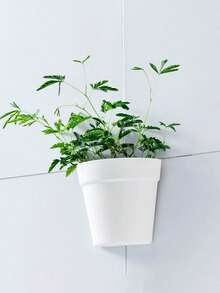 1-Pack Self-Watering Wall Planters - Modern Semi-Circle Vertical Garden System With Leakproof Design, Space-Saving Hydroponic Planters For Balcony/Living Room/Office(Perfect For Urban Gardeners & Plant Enthusiasts, Earth Day/Mother's Day Gift) Home Decor Vase Room Decor Flower Vase Glass Vase - Beige - View 3