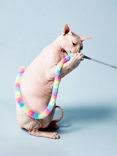 PETSIN 1 件彩色蓬松毛毛虫毛绒猫玩具 - 适合淘气小猫的异想天开的互动游戏棒，耐刮擦且耐用，无需电池