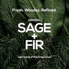 MARLOWE.. 102 Body Scrub Soap 7 Oz 3 Bars Exfoliating Soap Bar With Shea Butter Olive Oil Green Tea Extracts Cleanses Smooths Revitalizes Skin Original Sage Fir Scent - Original-Sage+Fir - View 6