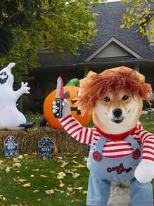 1 件，搞笑宠物服装，猫狗持刀衣服，万圣节，愚人节，免费赠送假发万圣节万圣节服装