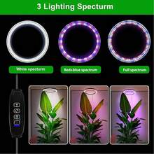 Adjustable Height Full Spectrum Plant Growth Light With 3/9/12 Hour Auto Timer, Long Lasting