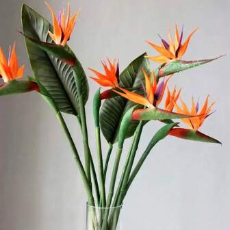  1/5PCS 22.83'' Artificial Bird Of Paradise Flower, Long Stem Rubber Strelitzia, Faux Tropical Greenery For Indoor Outdoor Decor, DIY Crafts, Home, Office, Balcony, Party, Wedding, Fall Decorations, Valentine's Day, Birthday, Graduation Gifts