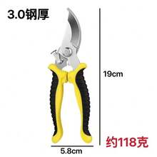 专业级不锈钢修枝剪，配备符合人体工程学的防滑手柄和精密研磨刀片 - 使树枝、花卉的园艺操作轻松 30% - 现代设计，无需电池