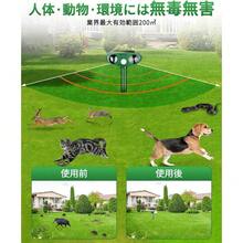 Electric Pest Repeller & Insect Killer