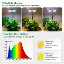 Grow Light LED Plant Light For Indoor Plants Growing Full Spectrum Desk Grow Lamp With Pedestal Automatic Timer For 3H/9H/12H 10 Dimmable Levels, Height Adjustable
