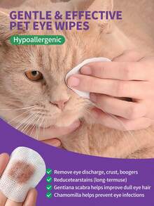 GJYC PET 100 قطعة من مناديل تنظيف عيون الحيوانات الأليفة - إزالة لطيفة لبقع الدموع والأوساخ والإفرازات والمخاط - مناديل تنظيف وعناية وتعطير بزيت جوز الهند للعيون والتجاعيد والوجه - للكلاب والقطط - متعدد الألوان - مشاهدة 3