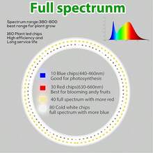 Adjustable Height Full Spectrum Plant Growth Light With 3/9/12 Hour Auto Timer, Long Lasting