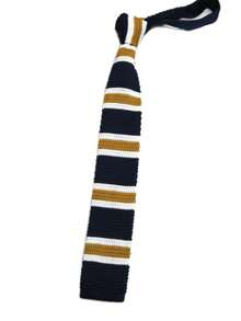 1 件条纹休闲涤纶针织领带，男女通用，四季皆宜