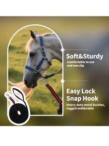 Lunge Line For Horse, Premium Equine Lunge Line With Swivel Bolt Snap For Accurate Equestrian Training, Competition, And Daily Use, 26 Ft (8 Meters)