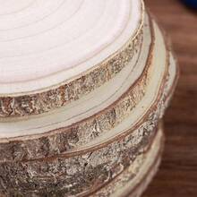 Natural Paulownia Wood Slices 10 Pack - 6-7 Inch Unfinished Wood Rounds ...