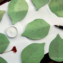 50/100 PCS Leaf Sticky Notes, Message Stickers, Small Sticky Notes, Beautiful Green Leaf-Shaped Self-Adhesive Sticky Notes, Suitable For Office, School And Home Sticky Notes - Multicolor - View 6