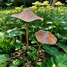 Set Of 2 Vintage Brown Metal Mushroom Garden Decorations - Rustic Outdoor Fairytale With Greenery Accents, Waterproof Lawn Patio Decorations Suitable For Potted Plants, Garden Art