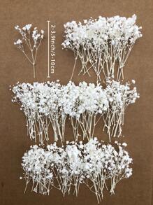 50/100/300 Stücke Natürliche weiße Schleierkraut getrocknete Blumen - Elegantes konserviertes Schleierkraut, geeignet für Zuhause, Büro, Hochzeit, Weihnachten, Halloween Party, Basteleien - Wartungsfrei, geeignet für Personen ab 14 Jahren