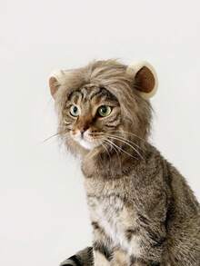 PETSIN New Cute Funny Pets Clothes Cap Cute Cat Wig Lion Mane Costume Cosplay Kitten Dog Hat With Ears Fancy Party Supplies - Brown - View 3