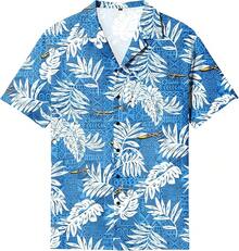 Men's Hawaiian Shirt Cool Summer Hawaii Tshirts Beach Tropic Print V Neck Button Up Tops Floral Short Sleeve Topshalloween - 藍色 - 查看 1
