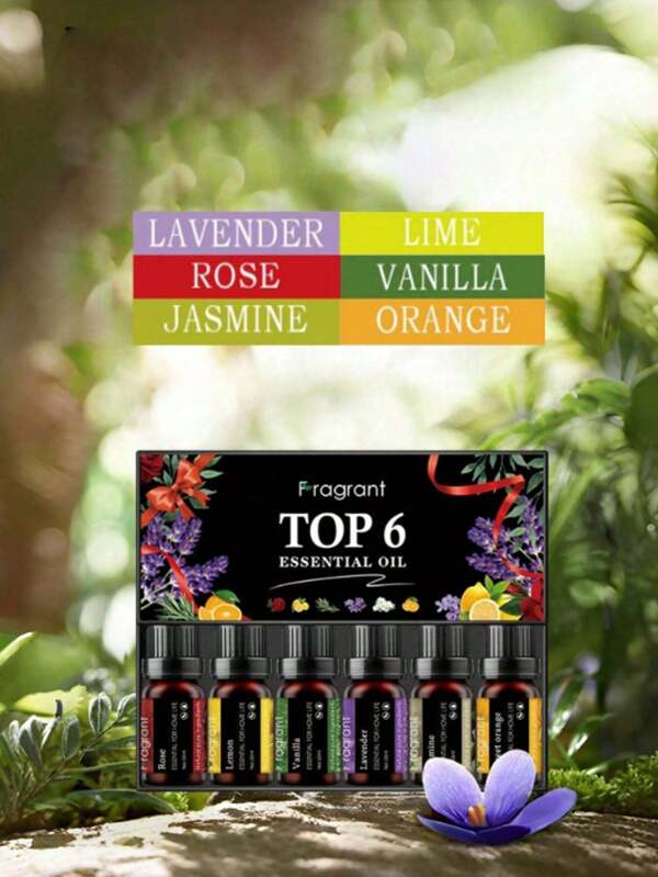 6pcs/Set 10ml Water-Soluble Aromatherapy Essential Oil Gift Box, Suitable For Natural Aroma Diffuser, Stone Humidifier, Car Diffuser, Home Fragrance Refill, Jasmine, Rose, Sandalwood Scents, Suitable For Bedroom, Living Room, Gifts