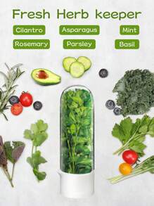 1/2/3pcs Refrigerator Herb Preserver, Refrigerator Herb Storage Container, Cilantro, Mint, Parsley, Asparagus Vegetable Preservation Jar, Keeps Vegetables Fresh For 2-3 Weeks