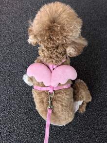 1 套可爱天使宠物狗胸背带和牵引绳套装，小型犬/猫背心式胸背带和牵引绳套装 - 彩色 - 查看 3