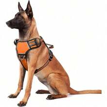 Orange(no collar)