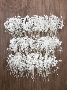 50/100/300 Stücke Natürliche weiße Schleierkraut getrocknete Blumen - Elegantes konserviertes Schleierkraut, geeignet für Zuhause, Büro, Hochzeit, Weihnachten, Halloween Party, Basteleien - Wartungsfrei, geeignet für Personen ab 14 Jahren