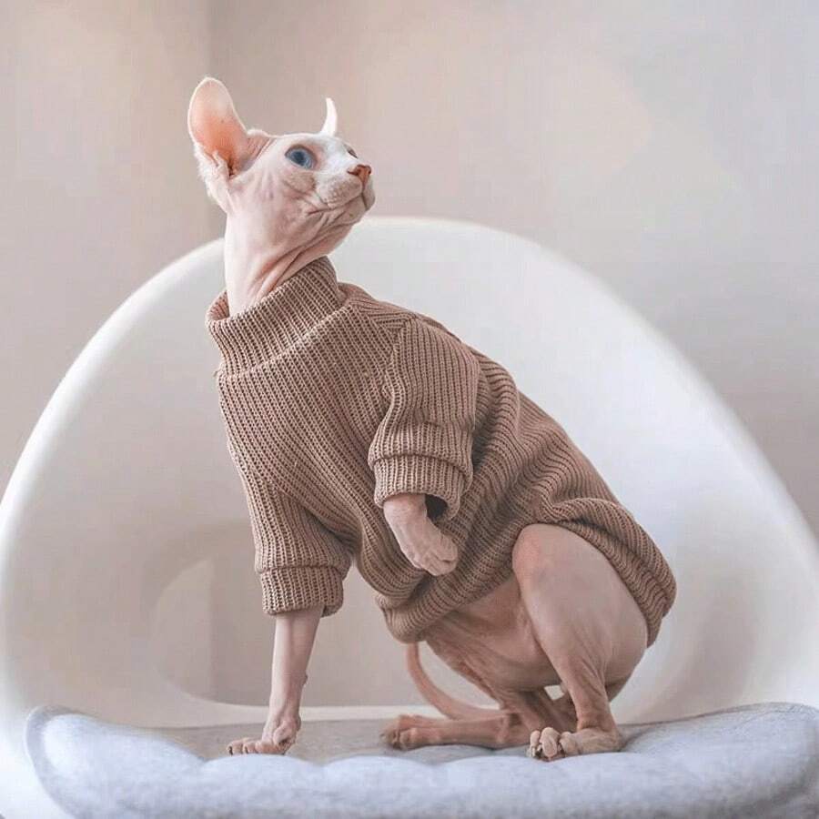 Sphynx Cat Turtleneck Sweater, Warm Clothing For Small To Medium Cats, Autumn/Winter - Brown - View 1