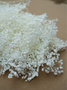 50/100/300 Stücke Natürliche weiße Schleierkraut getrocknete Blumen - Elegantes konserviertes Schleierkraut, geeignet für Zuhause, Büro, Hochzeit, Weihnachten, Halloween Party, Basteleien - Wartungsfrei, geeignet für Personen ab 14 Jahren