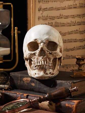 1 pezzo Modello di teschio umano in scala 1:1, replica realistica del cranio di un adulto, adatto per la decorazione della casa, della camera da letto, dell'ufficio e per gli studenti, il miglior regalo di Natale