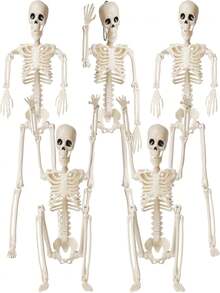 1件装，万圣节骷髅骨架，鬼屋布置道具，酒吧装饰道具，骨骼关节可活动，头部和起重机可拆卸，万圣节派对装饰 - 白色 - 查看 1