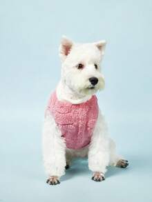 PETSIN 秋冬季狗狗衣服，小型宠物保暖夹克带牵引绳，适合泰迪、贵宾犬、博美犬和猫 - 粉色 - 查看 2