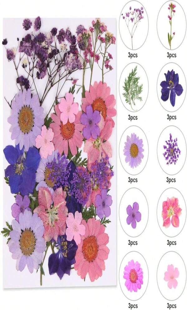 Augshy 141Pcs Dried Pressed Flowers For Resin, Natural Dried Flowers Real Pressed Flowers For Crafts, Resin Mold Scrapbooking, Candle, Soap Making DIY, Epoxy Resin Supplie