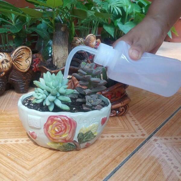 2025 Best Selling New 1pc Small Household Watering Can With Long Spout And Bent Spout, Squeeze-Type Pointed Mouth Watering Bottle, Watering Can, Squeeze-Type, Suitable For Flowers, Succulents, Floral Plants, Marked Scale On Bottle Body For Convenient Use