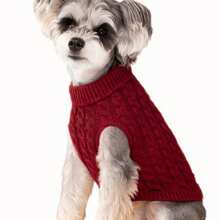 1pc Pet Dog/Cat Turtleneck Sweater, Soft Knitted Warm Clothing For Dogs, Suitable For Autumn/Winter, Poodle, Bichon Frise, Corgi