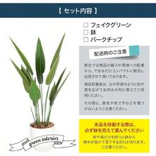 Artificial Plant