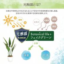 Artificial Plant