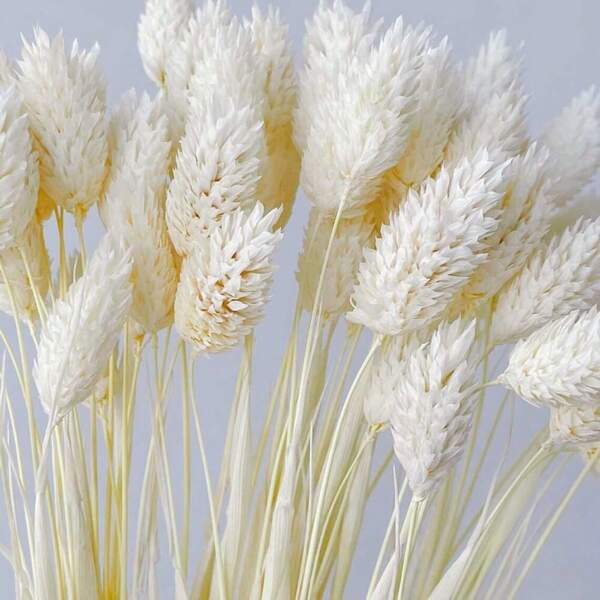 25/50/100 Pcs Gem Flower/Preserved Flower, Multi-Color Options, For Home Decor, Vase Decor, DIY Bouquet, Cake Decoration