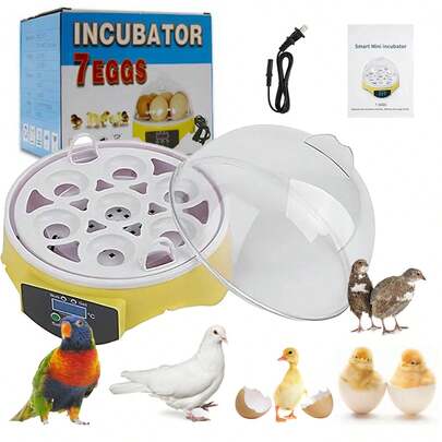 Incubadoras Automáticas Para 7 Huevos De Huevos Digital Hatcher Huevos Transparentes Máquina De Incubación Control Automático De Temperatura Para Pollo Pato Huevos De Pájaro