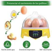 Egg Trays & Baskets - Yellow - View 4