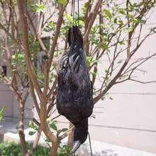 Simulated Dead Crow Pendant Hanging Bird Scarer Black Crow Decor For Halloween Garden Patio Lawn