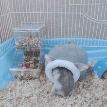 1 件黄金仓鼠窝，冬季温暖冬眠庇护所，适合仓鼠、沙鼠、龙猫 - 彩色 - 查看 3