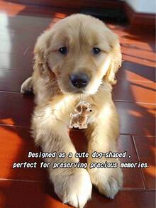 1 件透明狗毛收纳挂饰 - 扭蛋胶囊设计，小狗造型 | 男女通用宠物纪念配件，可作为钥匙扣和包包吊坠日常使用 | 适合返校、万圣节、圣诞节、情人节等场合的独特礼物，汽车配件，可爱哥特风 Y2k 万圣节配饰，教师节礼物创意